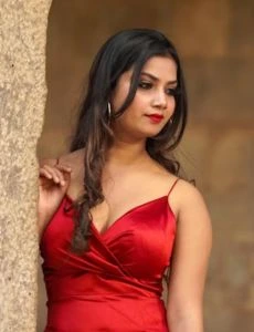 call girl service in Naraina